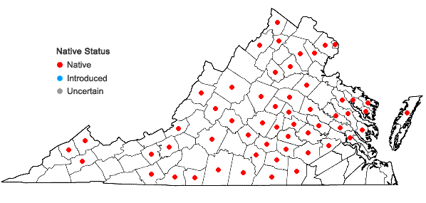 Locations ofAntennaria parlinii Fern. ssp. parlinii in Virginia