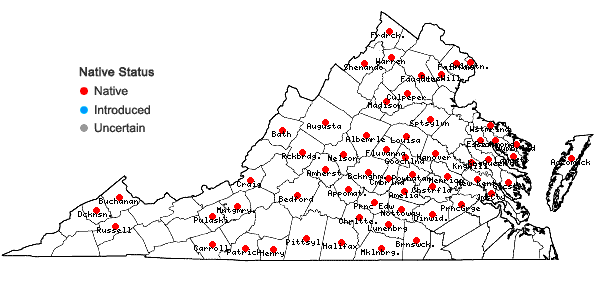 Locations ofAntennaria parlinii Fern. ssp. parlinii in Virginia