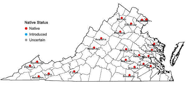 Locations ofAntennaria parlinii Fern. ssp. fallax (Greene) Bayer & Stebbins in Virginia