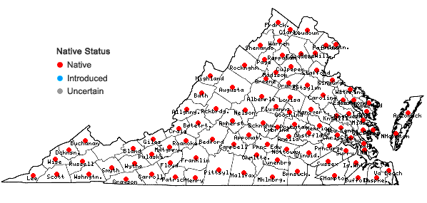 Locations ofAntennaria plantaginifolia (L.) Richards. in Virginia