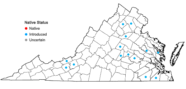 Locations ofArenaria leptoclados (Reichenbach) Guss. in Virginia