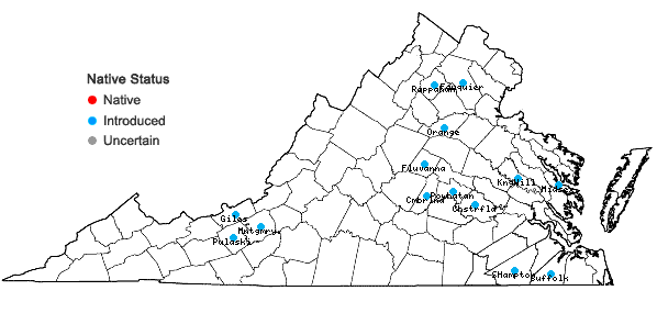 Locations ofArenaria leptoclados (Reichenbach) Guss. in Virginia