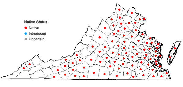 Locations ofAristida dichotoma Michx. var. dichotoma in Virginia