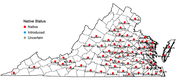 Locations ofAristida purpurascens Poir. in Virginia
