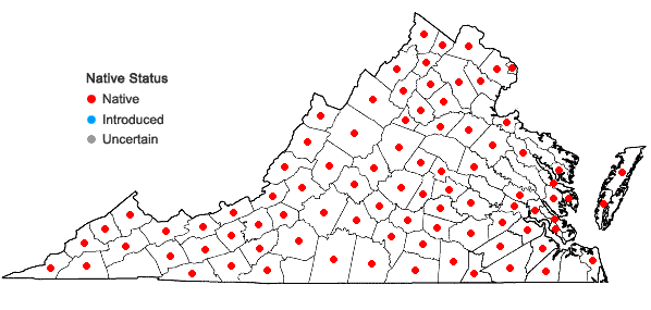 Locations ofArnoglossum atriplicifolium (L.) H.E. Robins. in Virginia