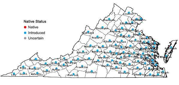 Locations ofArtemisia vulgaris L. in Virginia