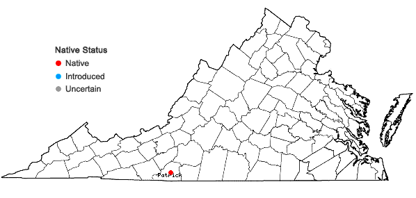 Locations ofArundinaria appalachiana Triplett, Weakley, & L.G. Clark in Virginia