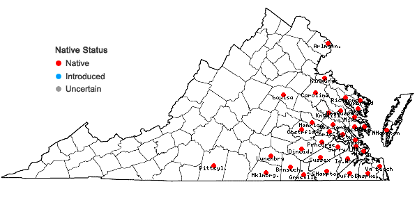 Locations ofArundinaria tecta (Walt.) Muhl. in Virginia