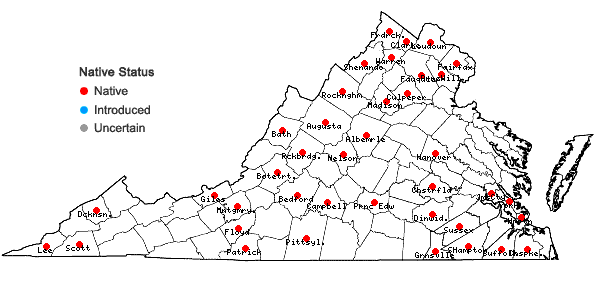 Locations ofAsclepias purpurascens L. in Virginia