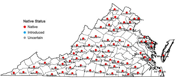 Locations ofAsclepias verticillata L. in Virginia
