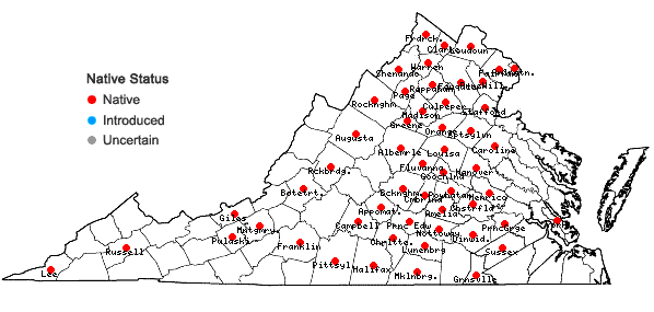 Locations ofAsclepias viridiflora Raf. in Virginia