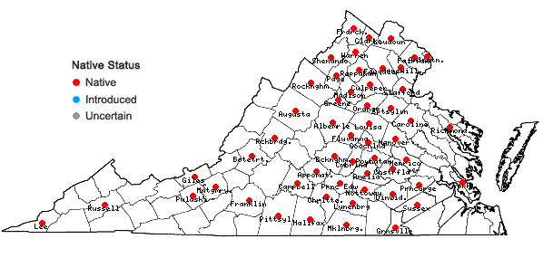Locations ofAsclepias viridiflora Raf. in Virginia