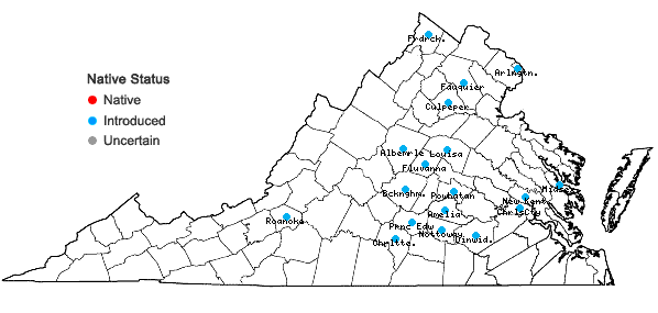 Locations ofAster tataricus L. f. in Virginia