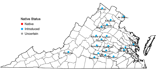 Locations ofAster tataricus L. f. in Virginia