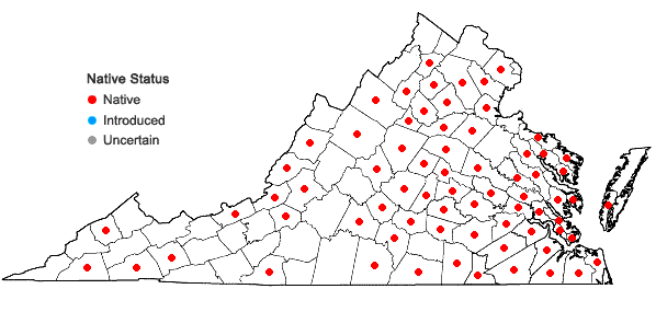 Locations ofAtrichum angustatum (Brid.) Bruch & Schimp. in Virginia