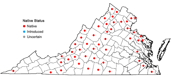 Locations ofAvenella flexuosa (Linnaeus) Drejer in Virginia