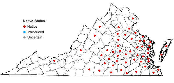 Locations ofBidens discoidea (Torr. & Gray) Britt. in Virginia