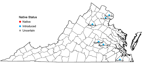 Locations ofBidens pilosa L. in Virginia