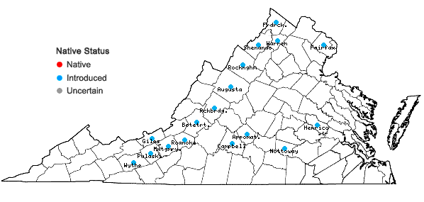 Locations ofBothriochloa torreyana (Steud.) Scrivanti & Antón in Virginia