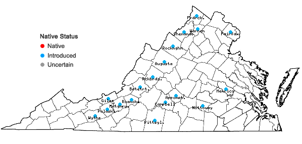 Locations ofBothriochloa torreyana (Steud.) Scrivanti & Antón in Virginia