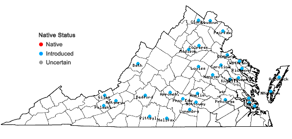 Locations ofBromus hordeaceus L. ssp. hordeaceus in Virginia