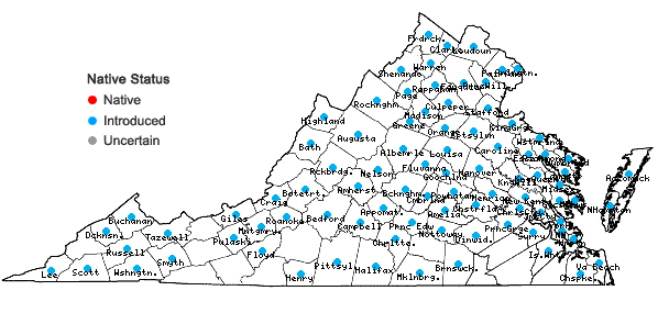Locations ofBromus racemosus L. in Virginia