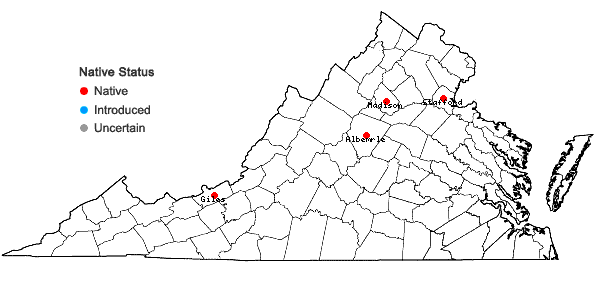 Locations ofBucklandiella sudetica (Funck) Bednarek-Ochyra & Ochyra in Virginia