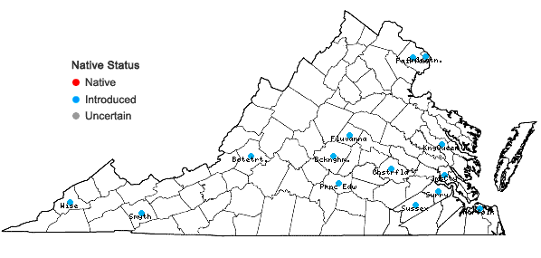 Locations ofBuddleja davidii Franch. in Virginia