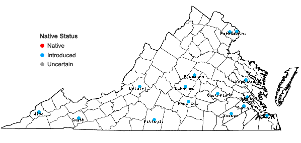 Locations ofBuddleja davidii Franch. in Virginia