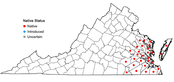 Locations ofCallicarpa americana L. in Virginia
