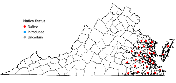 Locations ofCallicarpa americana L. in Virginia