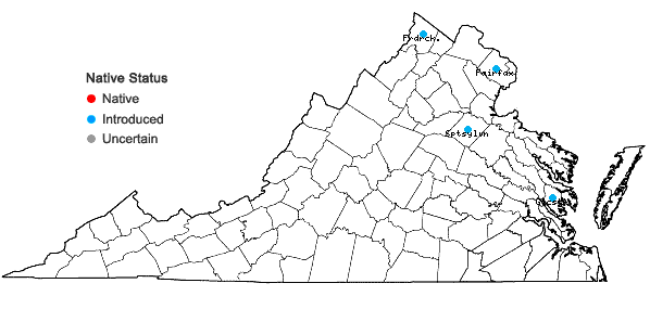 Locations ofCallitriche stagnalis Scop. in Virginia