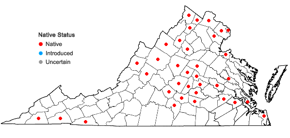 Locations ofCalystegia silvatica (Kit.) Griesb. ssp. fraterniflora (Mackenzie & Bush) Brummitt in Virginia