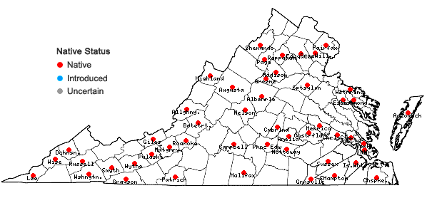 Locations ofCampyliadelphus chrysophyllus (Brid.) Kanda in Virginia