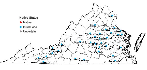 Locations ofCardamine occulta Hornem. in Virginia