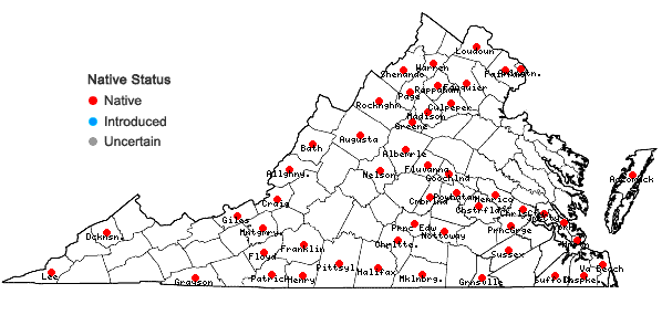 Locations ofCardamine parviflora Linnaeus var. arenicola (Britton) O. E. Schulz in Virginia