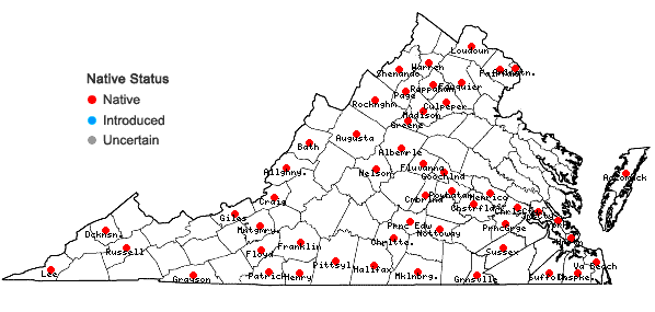 Locations ofCardamine parviflora Linnaeus var. arenicola (Britton) O. E. Schulz in Virginia