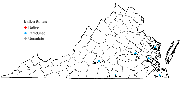 Locations ofCardiospermum halicacabum L. in Virginia
