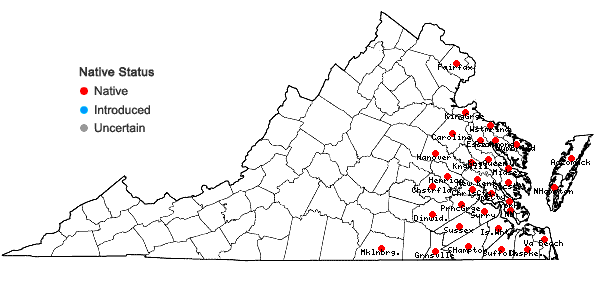 Locations ofCarex abscondita Mackenzie in Virginia