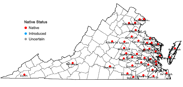 Locations ofCarex albicans Willd. ex Sprengel var. emmonsii (Dewey ex Torr.) Rettig in Virginia