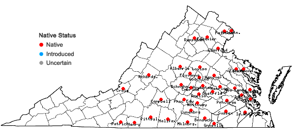 Locations ofCarex albicans Willd. ex Sprengel var. australis (Bailey) Rettig in Virginia