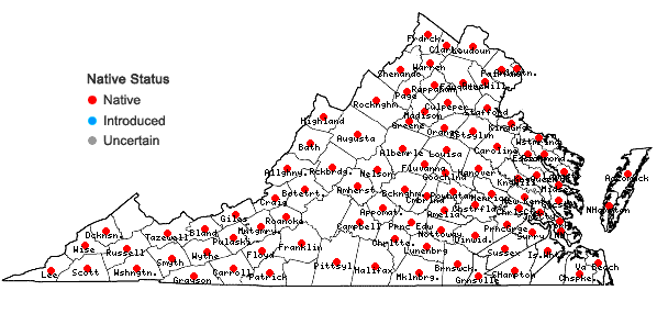 Locations ofCarex blanda Dewey in Virginia