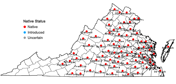Locations ofCarex caroliniana Schweinitz in Virginia