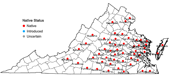Locations ofCarex crinita Lam. var. brevicrinis Fernald in Virginia