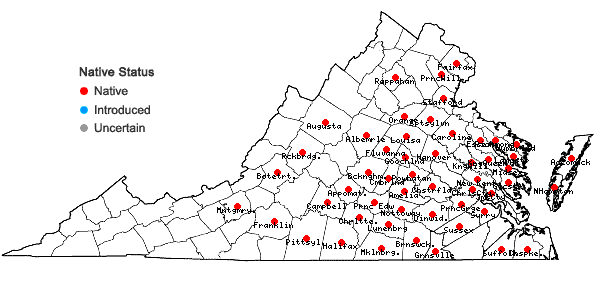 Locations ofCarex crinita Lam. var. brevicrinis Fernald in Virginia