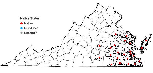 Locations ofCarex gigantea Rudge in Virginia