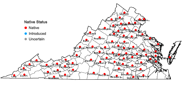 Locations ofCarex gracillima Schw. in Virginia