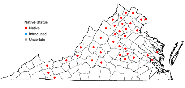 Locations ofCarex grisea Wahlenb. in Virginia