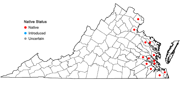 Locations ofCarex hyalinolepis Steudel in Virginia
