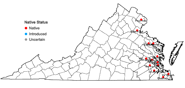 Locations ofCarex hyalinolepis Steudel in Virginia